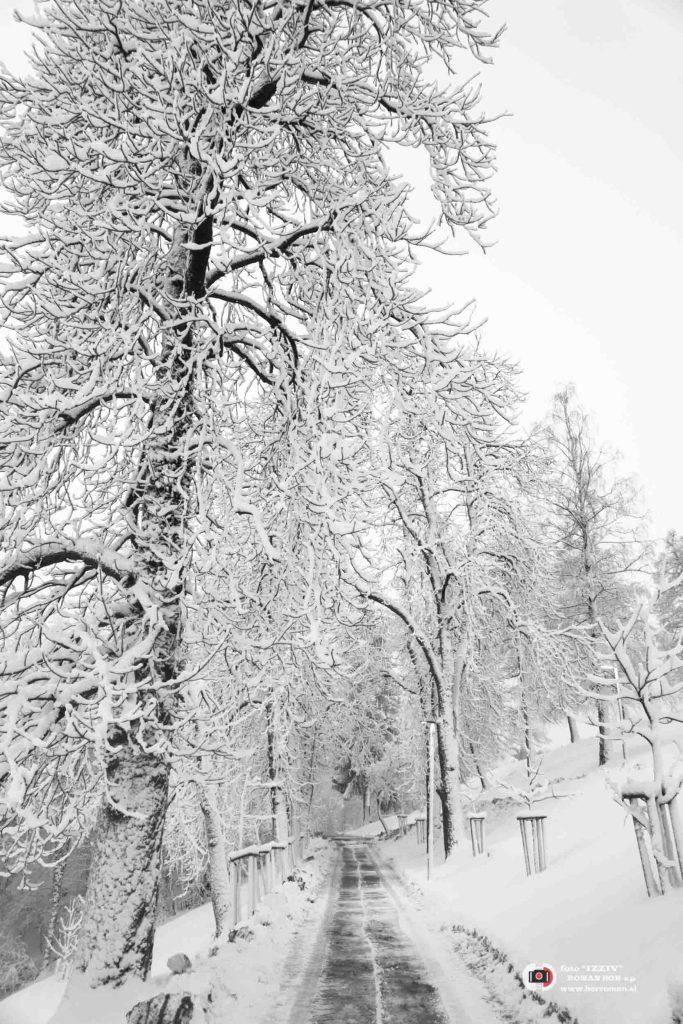poročna fotografija_vsezaporoko_poroke v sloveniji_weddings photography_najbolj&scaron;i poročni fotograf_roman bor_velenje_events_fotografiranje porok_nasveti za fotografiranje_fotografiranje nosečk_družinsko fotografiranje_portretna fotografija_fotografiranje otrok_fotografiranje družin_nosečni&scaron;ka fotografija_komercialna fotografija_